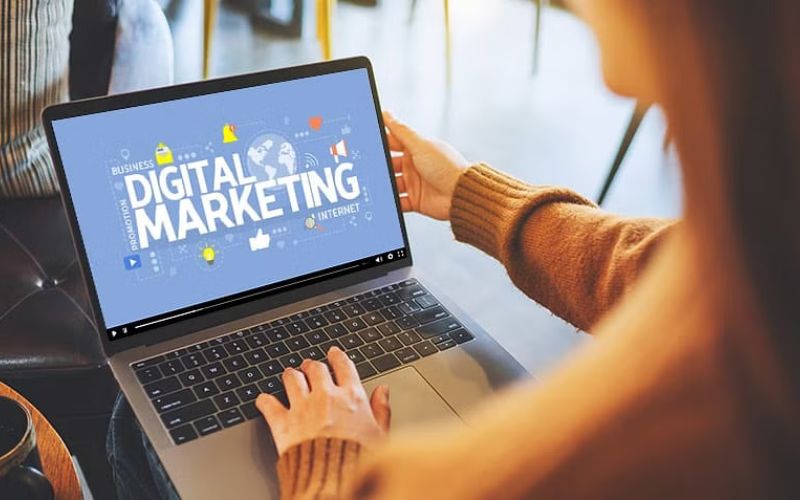 Analytics dashboard showing digital marketing metrics in New Zealand