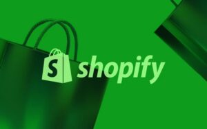 Shopify store setup for New Zealand businesses